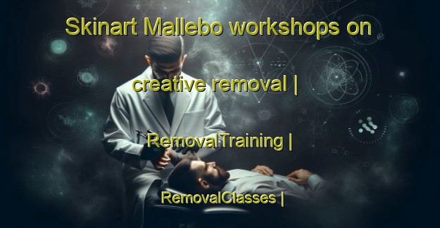 Skinart Mallebo workshops on creative removal | RemovalTraining | RemovalClasses | SkinartTraining-Sweden